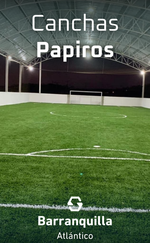 Cancha papiros